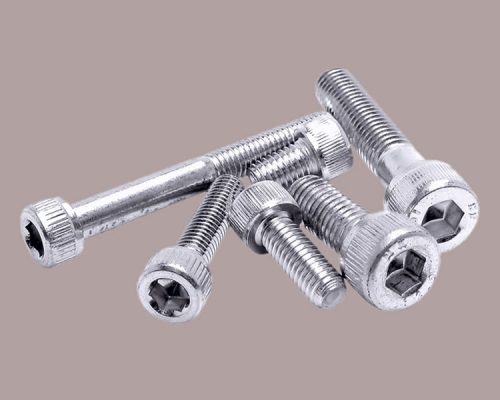 Button Cap 316 SS Screws